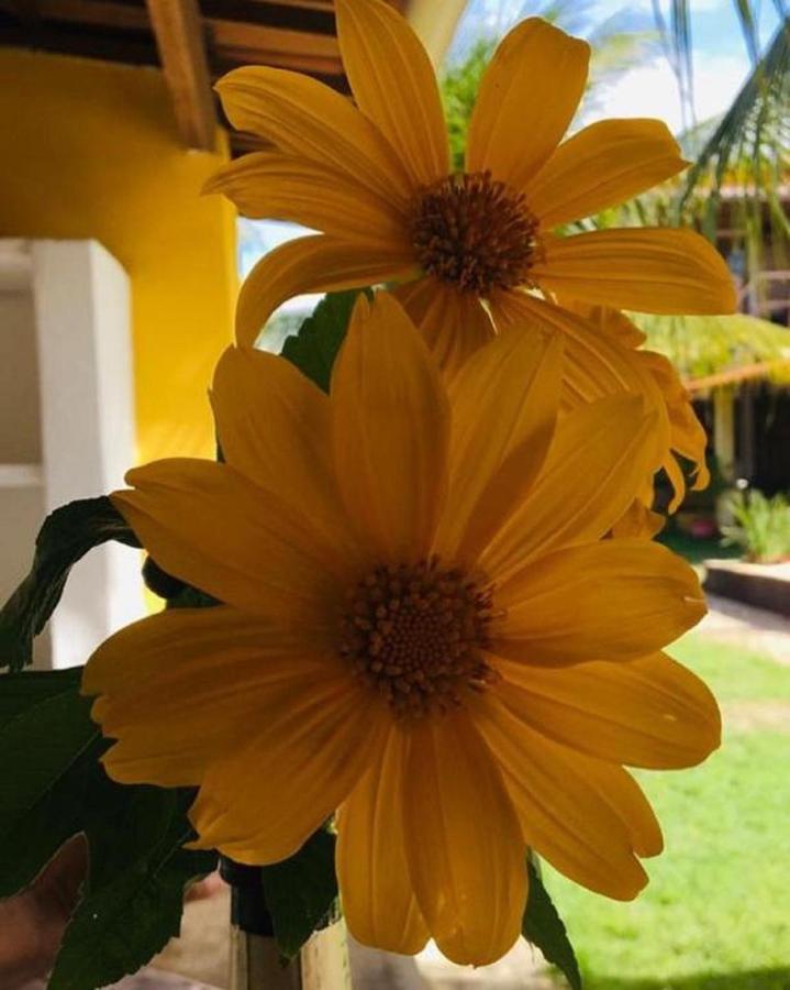 Pousada Ello São Miguel do Gostoso Exterior foto