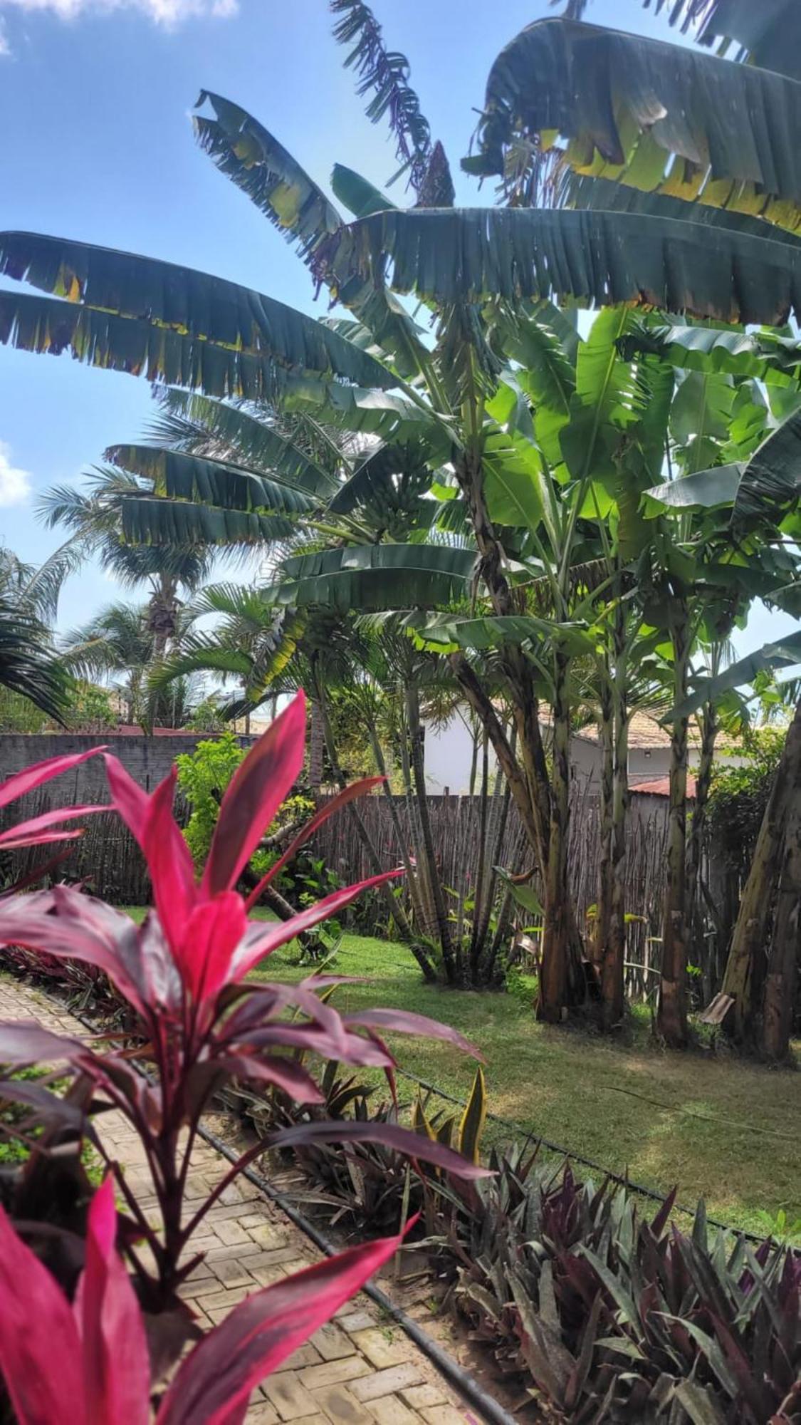 Pousada Ello São Miguel do Gostoso Exterior foto