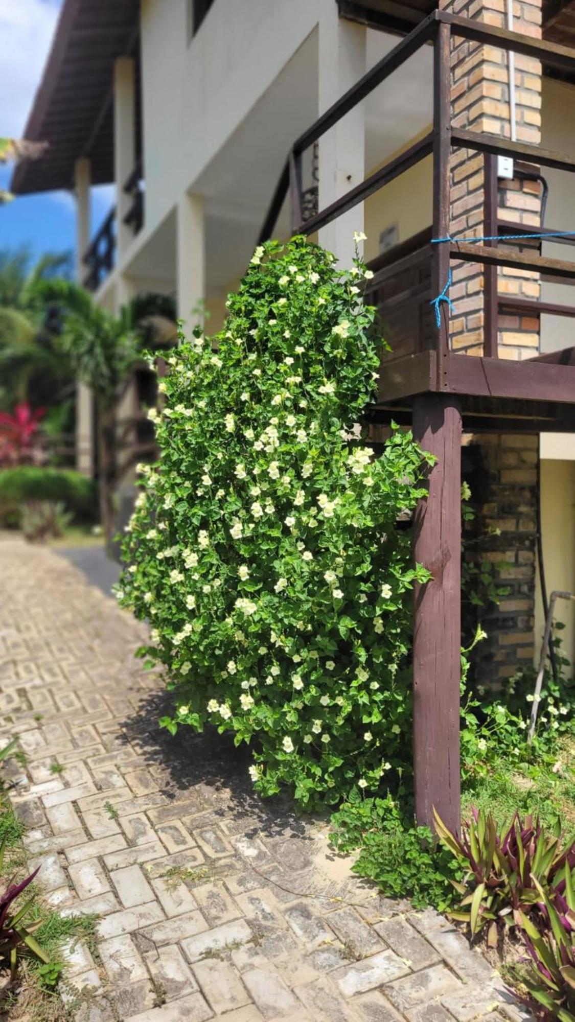 Pousada Ello São Miguel do Gostoso Exterior foto