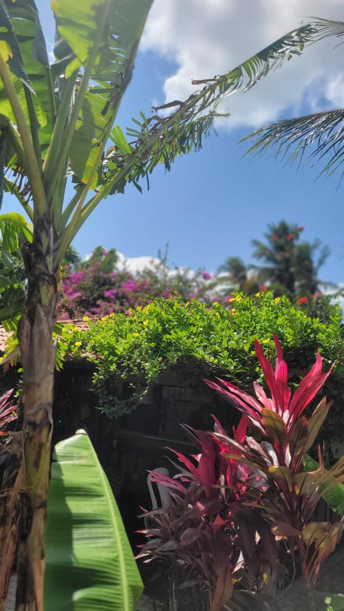 Pousada Ello São Miguel do Gostoso Exterior foto