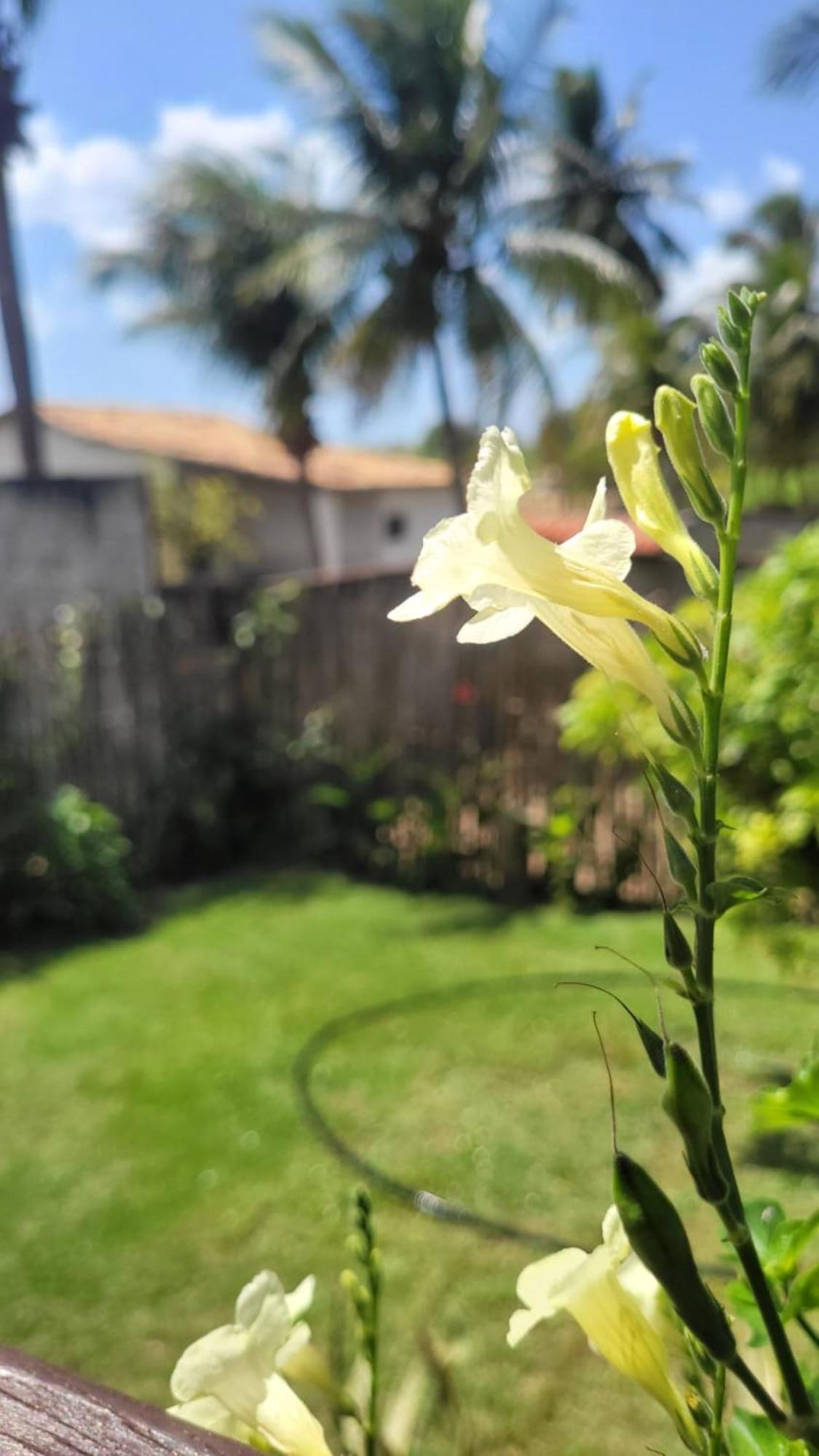 Pousada Ello São Miguel do Gostoso Exterior foto